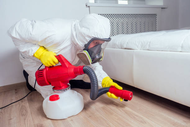 Best Residential Pest Control  in Freeland, PA